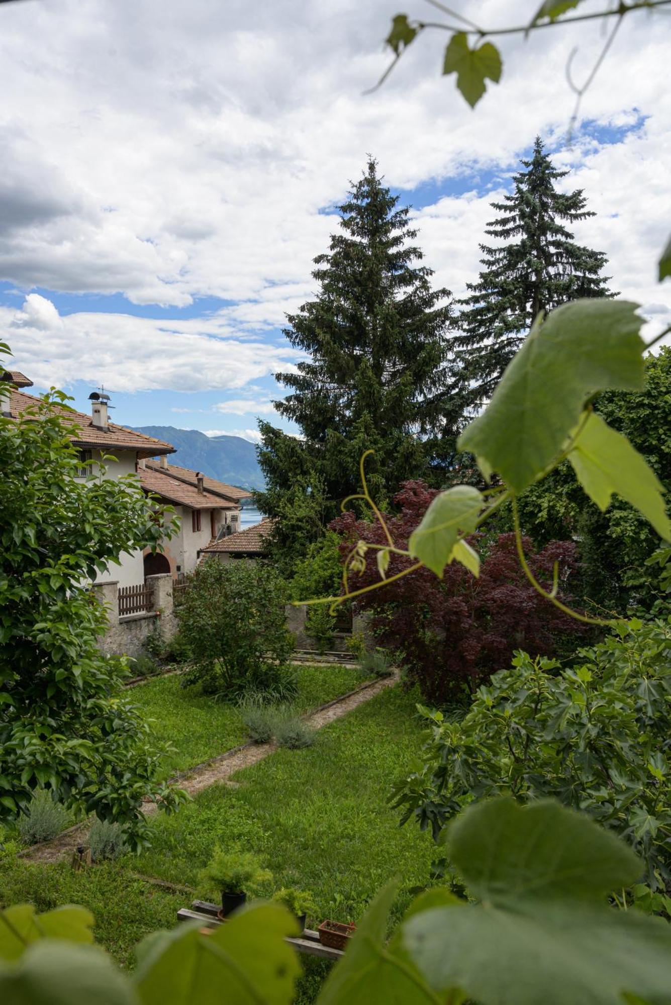 Casa Bolego Villa Cagno  Exterior photo